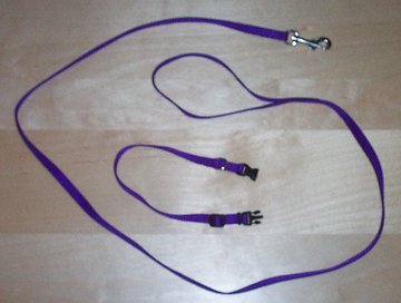 collar and lead