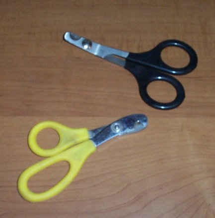 nail cutters cropped
