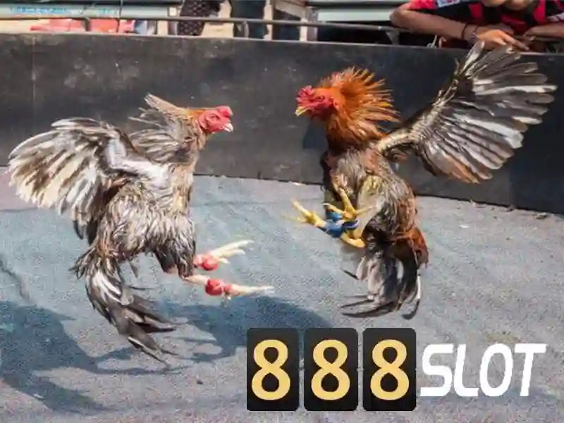 💎real online casino slots💎