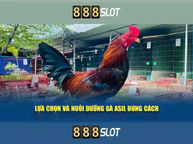 💎nguoi dan song o bac cuc💎