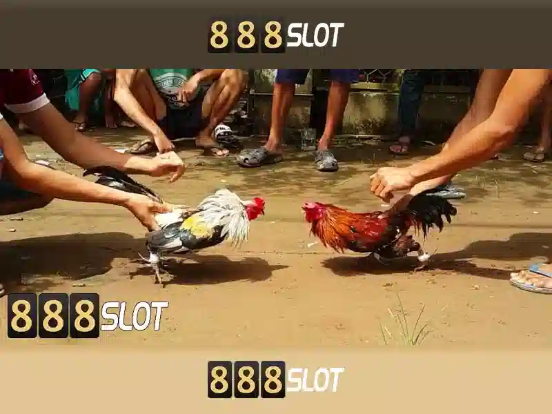 💎sân chơi cá cược 188bet trực tuyến💎