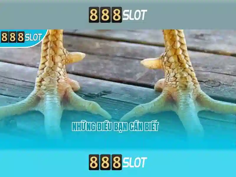 💎ca cuoc ngoai hang anh💎