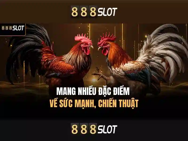 💎kèo nhà cái vuakeobong.com💎