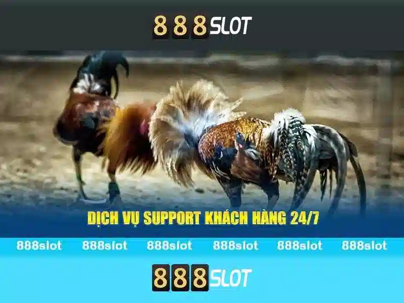 💎cải tạo nhà cũ thành quán cafe💎