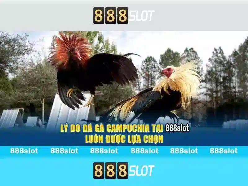 💎app sin88💎 - trang sin88 - sin88 có lừa đảo không