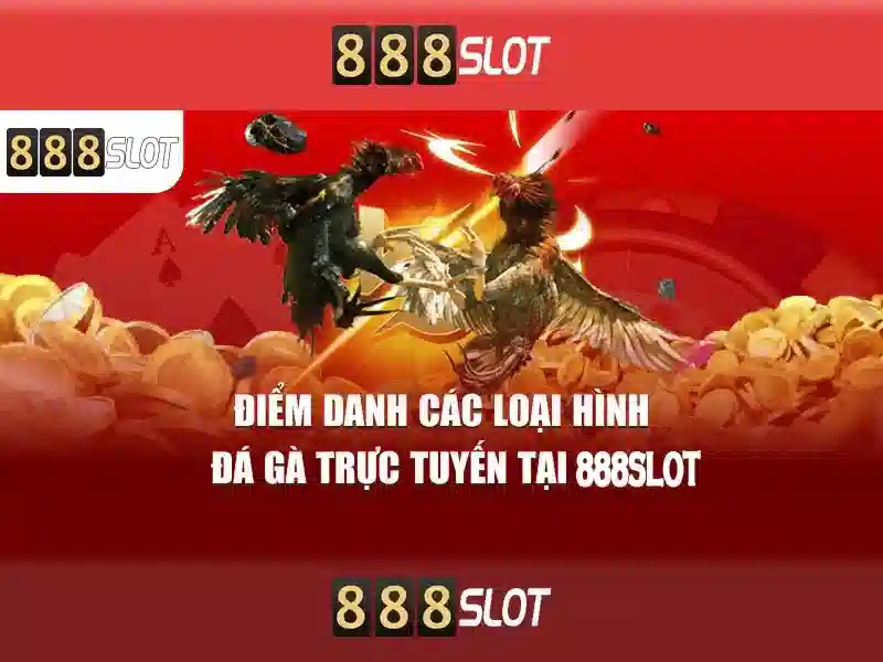 💎học viện cá cược live action 2💎