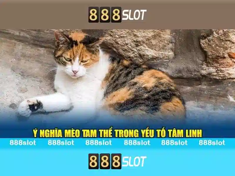 💎nhà cái uy tín onlinecasinohub ú💎