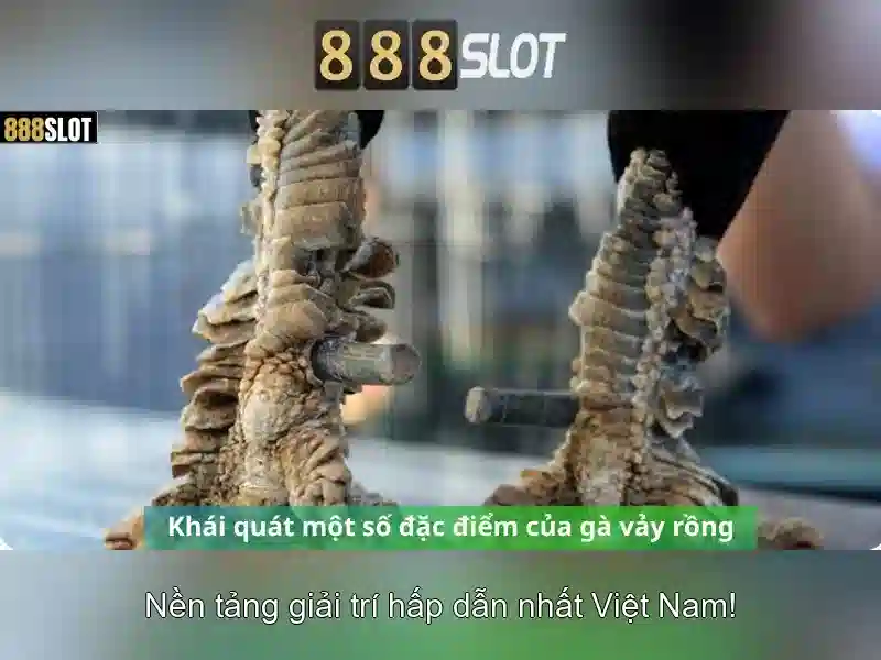💎nhà cái khuyến mãi mới💎