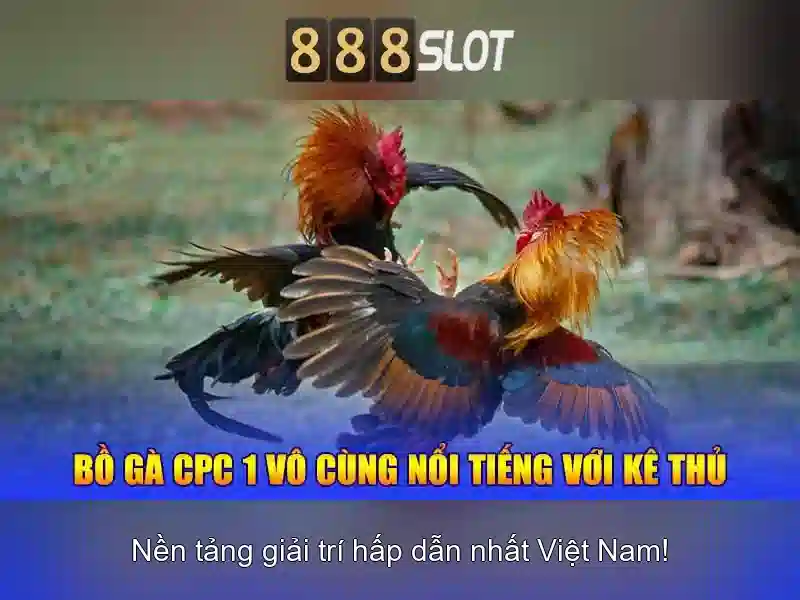 💎trang đại diện nhà cái💎