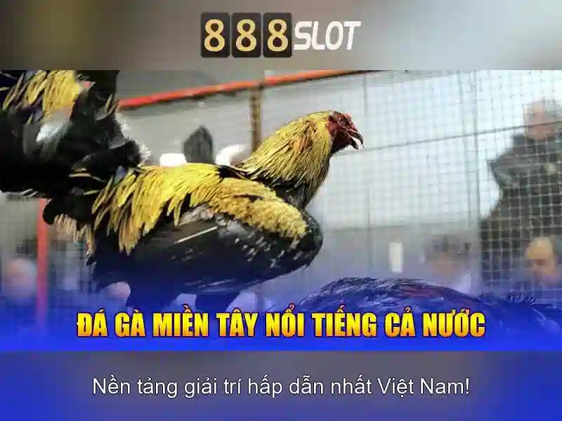 💎what does a pci express slot look like💎