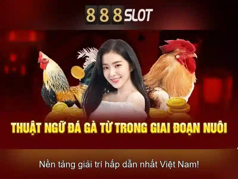 💎link nha cai 8kbet💎