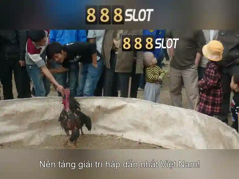 💎123dzo link nhà cái💎