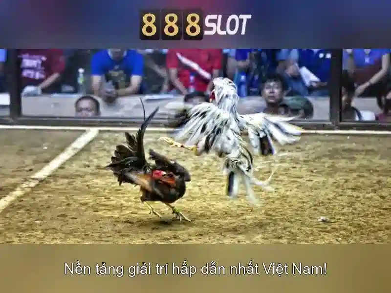 💎fortune tiger slot💎