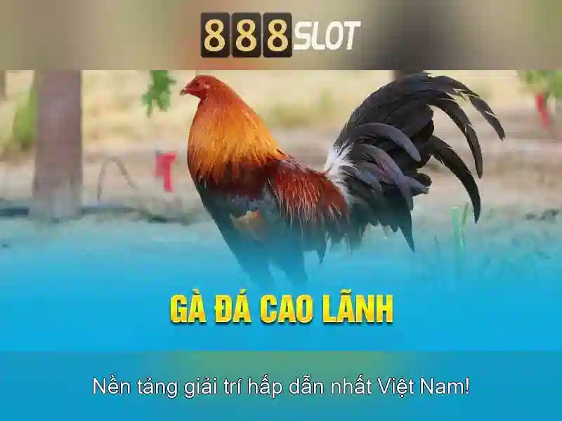 💎slot rooster rumble💎
